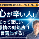 心が辛い人に知って欲しい。感情の対処法  その１ 感情を言葉にする